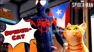 The Spider-Cat Saga: Marvel's Purr-fect Sidekick