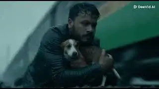 Man Saves Dying Dog