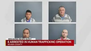 TBI arrests 8 in Sevier County sex sting