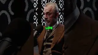 &laquo;Возрождение истинного смысла жизни в хаотичном обществе&raquo; &mdash; Джордан Б. Петерсон