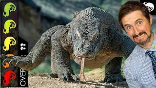 Komodo Dragon, The Best Pet Lizard?