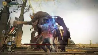 Elden Ring - (Morgott RL1/0+/No Damage)