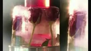 WINE CAVIAR