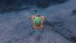 &ldquo;Diving with Rays &ndash; Serenity of the Atlantic Ocean | Relaxing Meditation Music&rdquo;