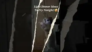 🤣Light Dinner Ideas To Try Tonight! #shorts #cat #funny #catlover #cute