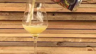Amundsen Bryggeri  Hop Circles