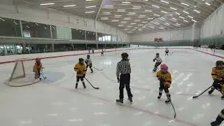 (Feb 16 2025) Period 1 - TCFIHA U9 C3 vs Burnaby U9 C1