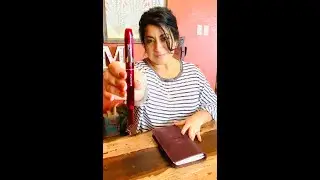 Platinum Curidas Retractable Fountain Pen Review with Rebecca Martinez