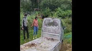 🚛✨ The Genius Girl Who Restored a Runaway Truck After Its Brakes Failed in the Fields #poorgril 