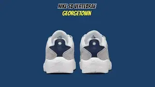 NIKE SB VERTEBRAE Georgetown