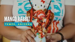 Tempe Local Business: Mango Rabbit