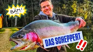 GEHEIMNIS GELEAKED: Grewald wollten dieses Erfolgs-Trio am FORELLENSEE eigentlich NICHT VERRATEN