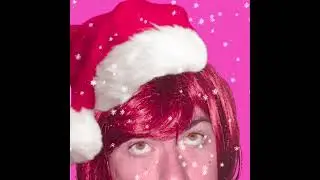 Gay Dog Fire Starter - Santa Claus Makeover