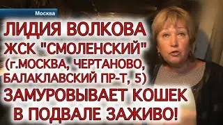 Живодерство ЖСК 