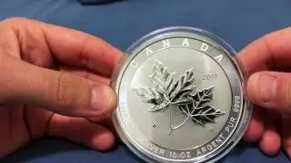 2017 10 oz Canadian Silver Magnificent Maple Leaf Coin