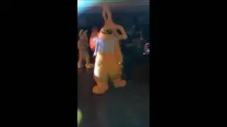 GLFC 2015 Great Lakes Fur Con Rave  (ESC as Jolteon, Michael as Bolt)