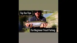 Top Ten Beginner trout tips   4K