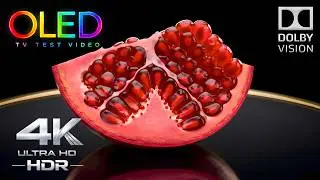 You've Never Seen 4K OLED Like This | 4K HDR 60FPS Dolby Vision OLED Display Test (8K/4K Video TV)