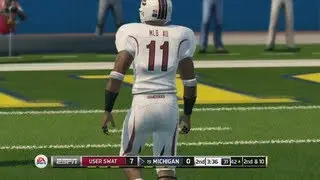 Онлайн-игра NCAA Football 14: как адаптироваться к игре этого года