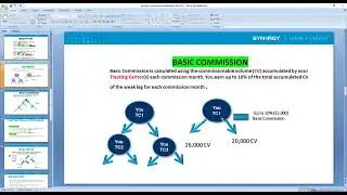Synergy compensation plan presentation