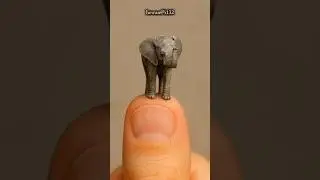The Smallest Elephant Ever  Tiny Animal on a Thumb #short #animals #elephandt