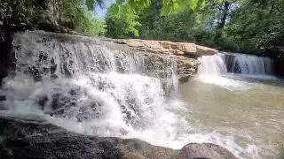 Albert Falls