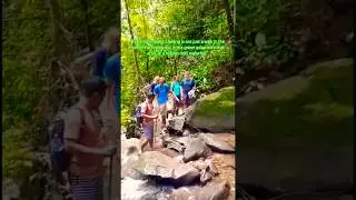 Caucasian Tracking in Bukit Lawang: Tropical Forest & Hidden Mini Waterfall #shorts #viralshorts