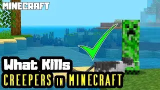 What Kills Creepers in Minecraft?
