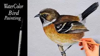 WaterColor Easy Bird Painting For Beginners | Paint A Bird Within 5 Minute