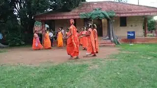 Tribal dance, Bastar, Vivek Ranjan Sinha