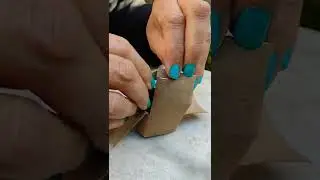 Decile Adi&oacute;s a las HORMIGAS 🐜 con esta TRAMPA Casera #shorts #hormigas #huerta