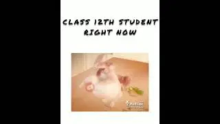 CBSE LATEST NEWS । CBSE CLASS 12TH EXAM CANCELLED FUNNY MEME