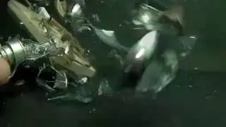 Destructive Mouse trap Super Slow-Mo