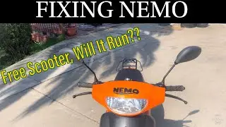 Бесплатный скутер TaoTao 50cc — он заведётся?