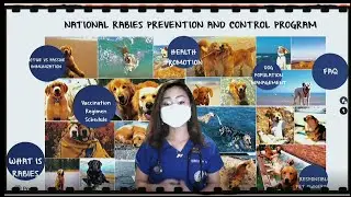 NATIONAL RABIES PREVENTION AND CONTROL PROGRAM  MURIELLE CUBELO