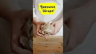 Green Cuisine Revolution: Eco-Friendly Kitchen Gadgets for the Modern Cook I #shortvideo #shorts
