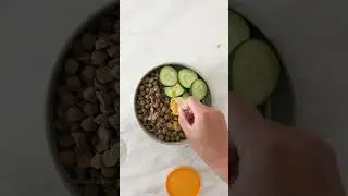 Food Toppers to Boost Your Dogs Health