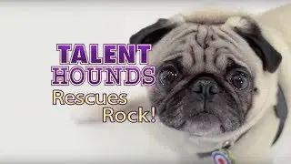 Rescue Dogs Rock - TV Episode Trailer