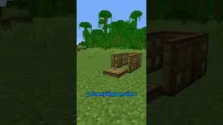 La mejor trampa para conejos en Minecraft! 🤫