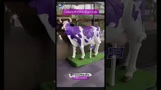 Cadbury World in 30 seconds ​⁠@ROCOMEDIA