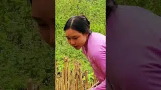 How a Young Girl Transforms Sapodilla Harvesting into a Blissful Market Adventure