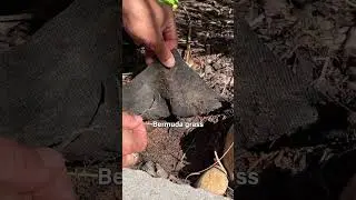 Why Weed Fabric Doesn&rsquo;t Actually Work | Drab to Fab Landscaping