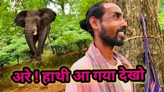 Assam Tea Garden Tour | India&rsquo;s Famous Tea Estates | Assam Tourism | Tea Gardan Assam | ZubeenDa