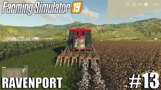 COTTON HARVESTING| Ravenport | Timelapse #13 | Farming Simulator 19
