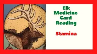 Elk Medicine Card Reading - Stamina - Native American Spirituality