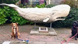 NANTUCKET - Old Whaling Capital of the WORLD!