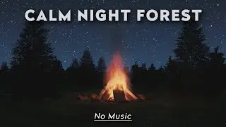 Night Forest Ambience 🌲 Crackling Fire & Forest Sounds | No Music