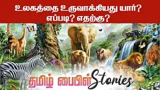 உலகத்தை உருவாக்கியது யார்?எப்படிஎதற்கு?/தேவனின் படைப்பு/God's Creation/Tamil Bible Stories/Genesis:1