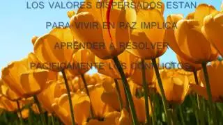 PAZ Y TOLERANCIA CANCION
