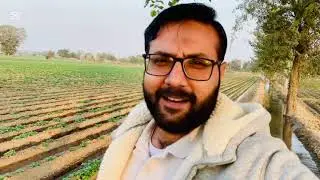 Potato 🥔 Ki Fasal Chek ki | Chachu K Rakbe Par Gay | AdeelChVlogs